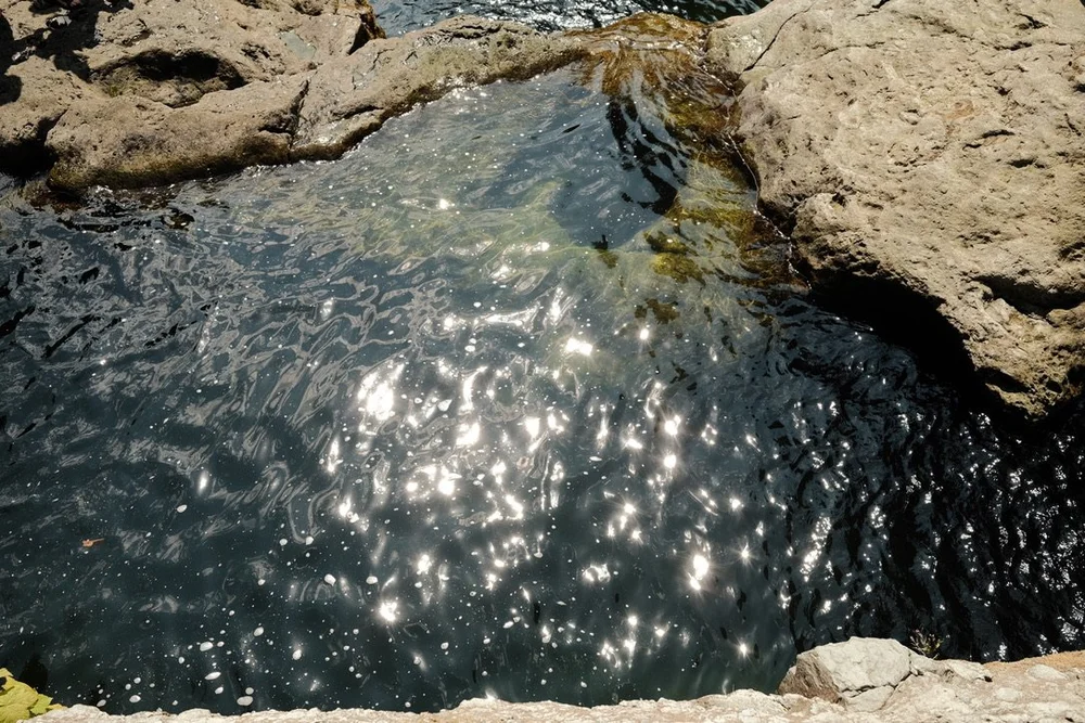 A636ED5E-D6C5-4C98-B054-BC0121AC8F27_1_105_c.jpeg