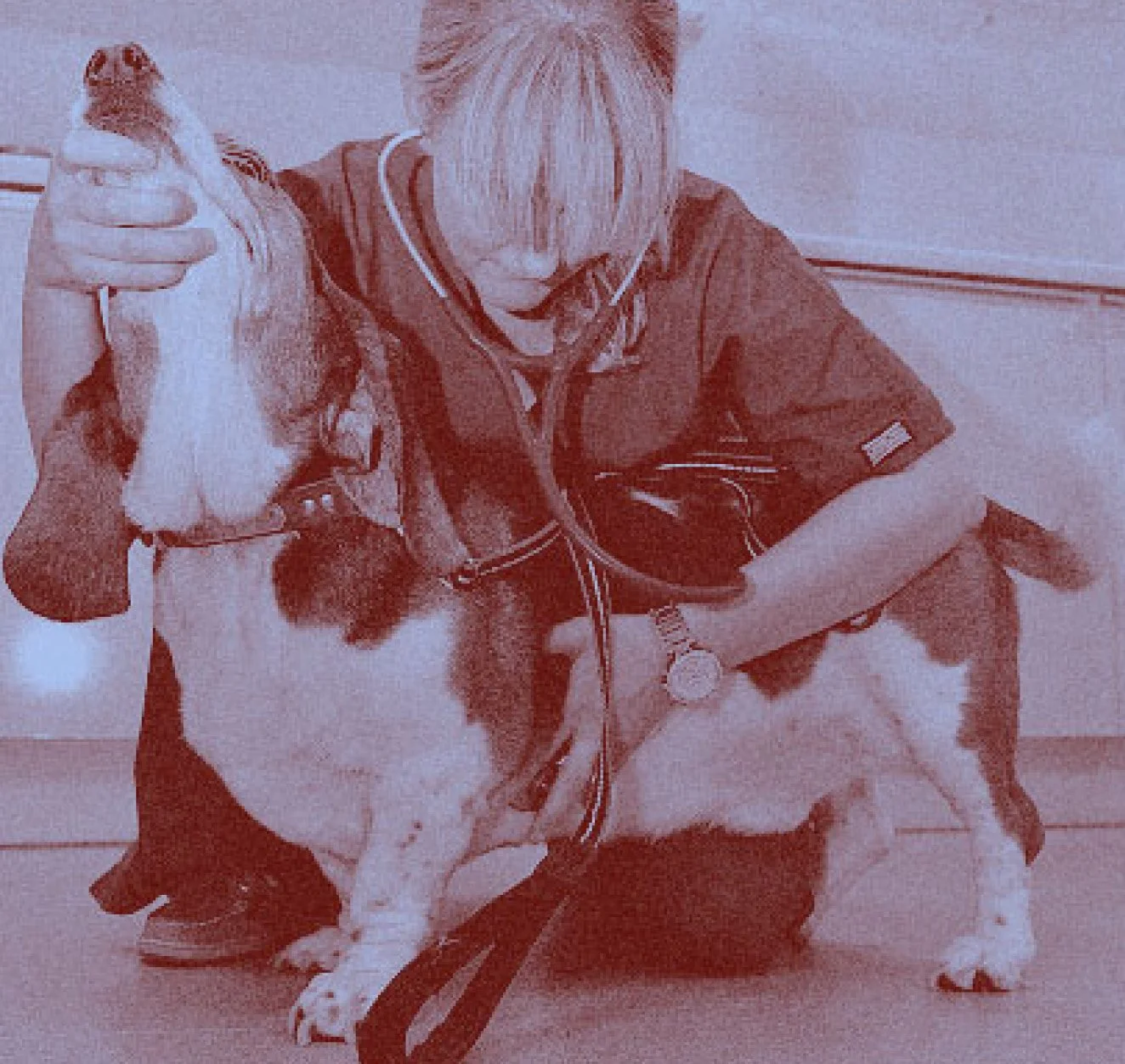 A veterinarian in scrubs crouching down to examine a dog. Duotone blue and grain effect applied.