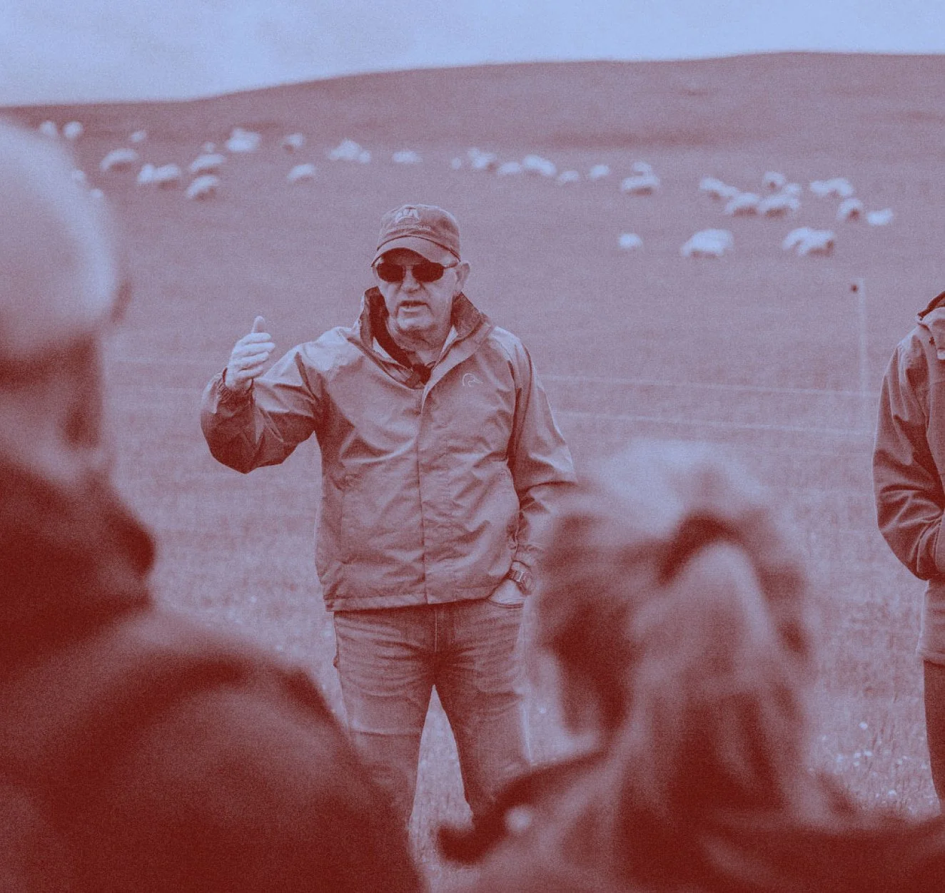 Photograph of two people in outdoor clothing in conversation mid-ground, with blurred figures in the foreground and an open field with sheep behind them. Duotone blue and grain effect applied.