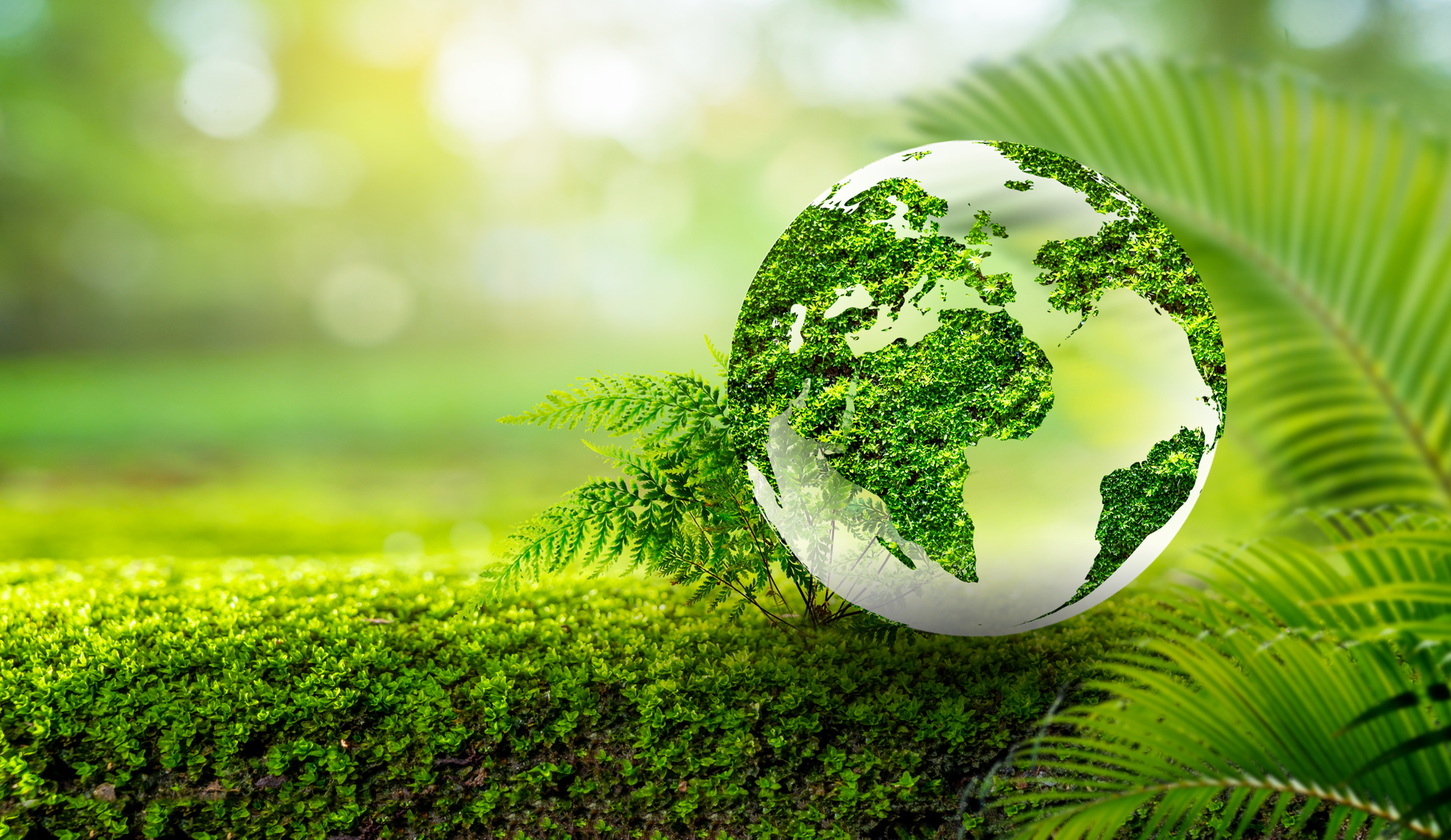 Integrated Sustainability Performance
