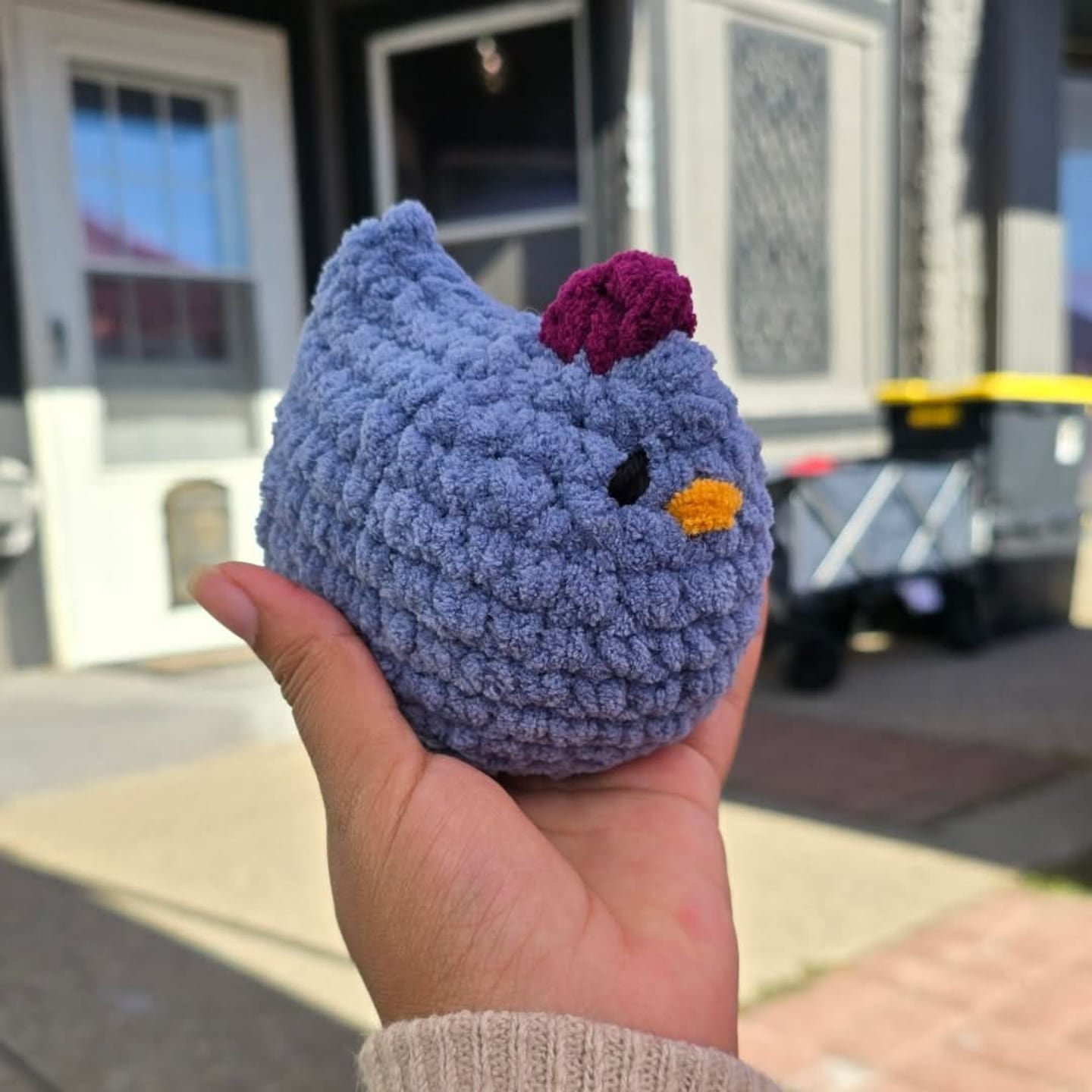 I have 3 blue chickens left on my website. I wasn't able to finish these guys before my last market, so they are now available online. Ya'll cleared me OUT at strawberry fest, I'm taking July off to restock. 

The next restock is August 1st, and my n