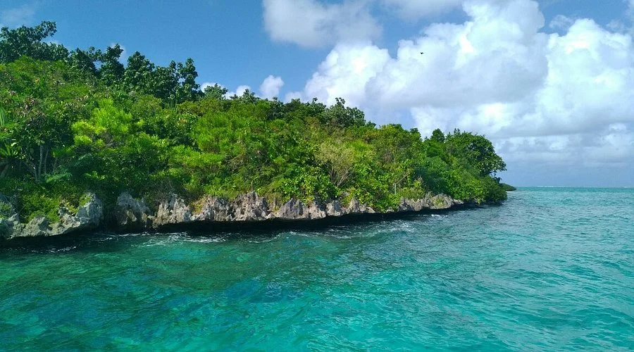 Ile aux Aigrettes.jpg