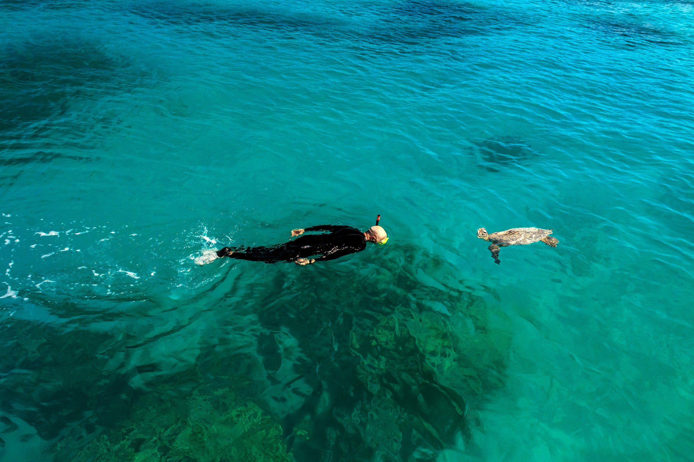Snorkle Mauritius.jpg