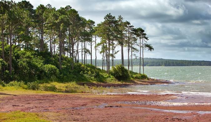 Mare aux Vacoas.jpeg
