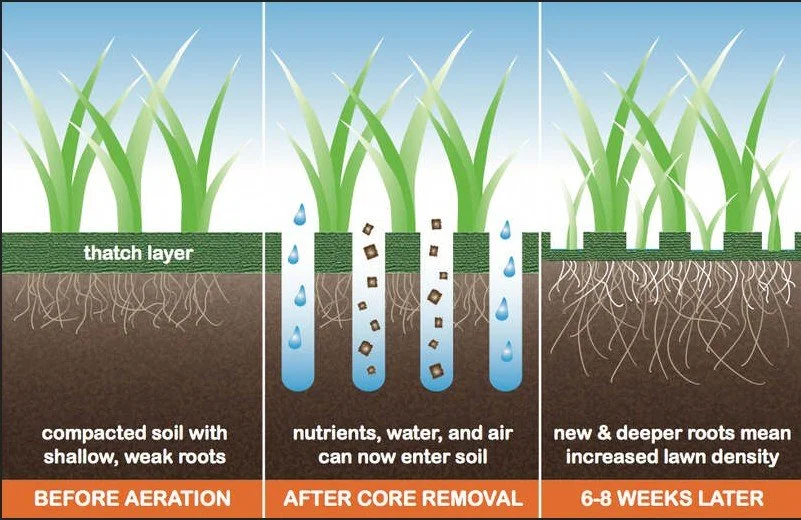 Aeration picture.jpg
