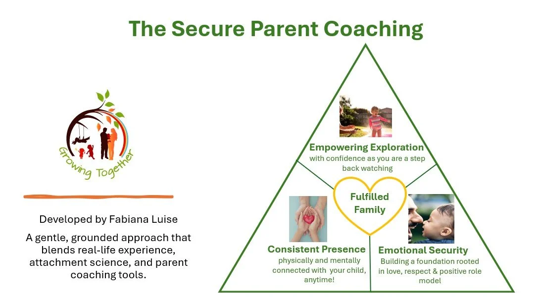Diagram titled 'The Secure Parent Coaching' with a subtitle 'Growing Together'. It features a triangle divided into three sections: 'Empowering Exploration' with a child exploring outside, 'Consistent Presence' with a person holding hands with a child, and 'Emotional Security' with a parent and child facing each other. In the center, a yellow heart contains the words 'Fulfilled Family'. The diagram emphasizes a nurturing approach to parenting based on attachment science.