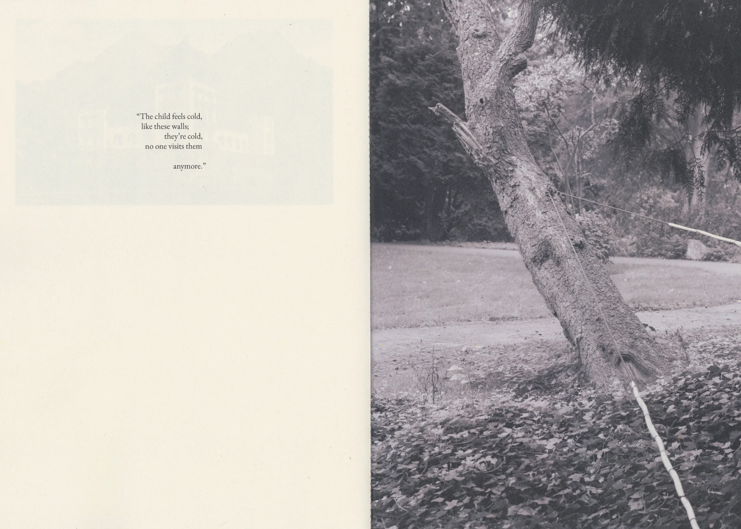 spreads from my publication