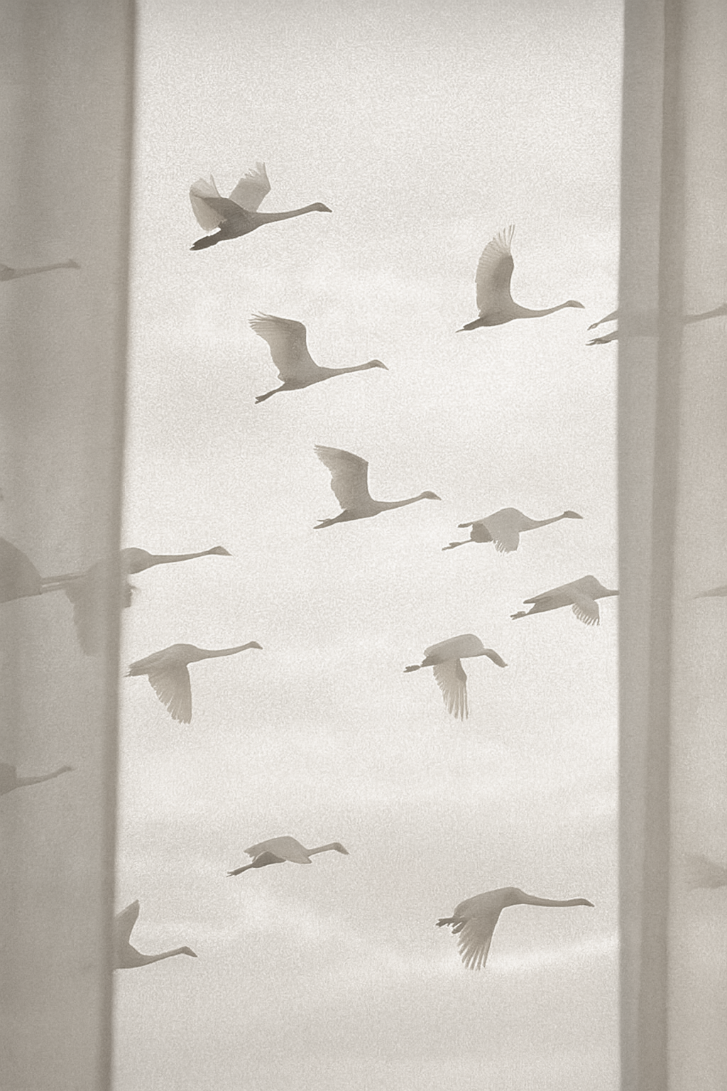 Brand Boost Retreat - Et opgør med effektivisering!