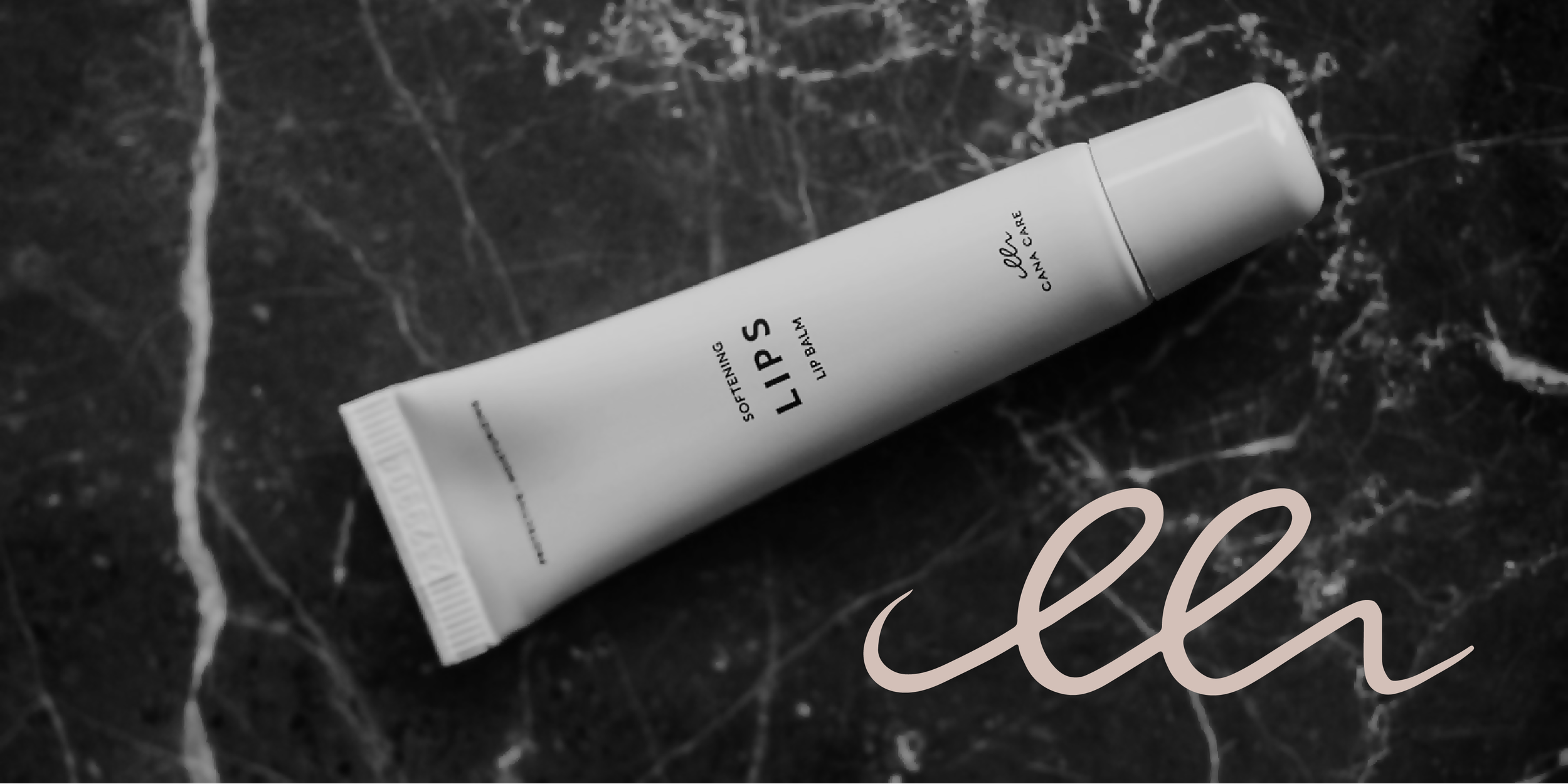 CanaCare_Portfolio case-01.webp