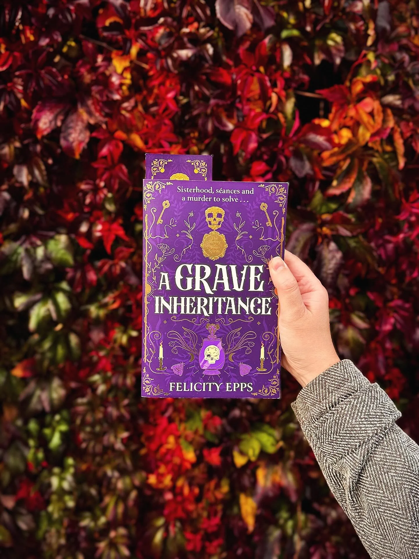 🎃👻🕯️
I bought my first pumpkin today - and I say first because I predict I will end up with about five by Halloween! I don&rsquo;t even like carving pumpkins that much, but I want to do some baking recipes with them this year. 

#octobervibes #spo