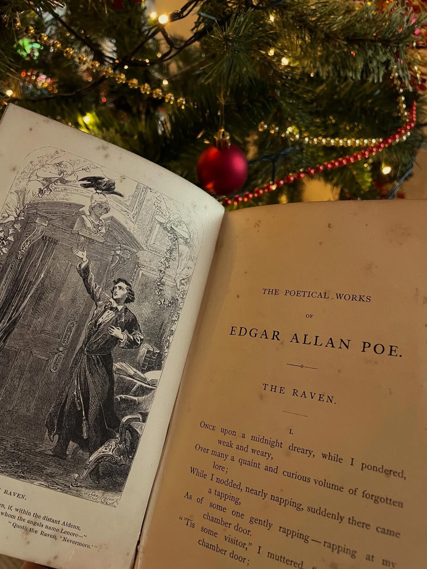 This week&rsquo;s reading, seaside walks and fairy lights ✨ 

☕️🕯️
&bull;&bull;&bull;

#gothicreads #cosyreading #victorianaesthetic #authorlife