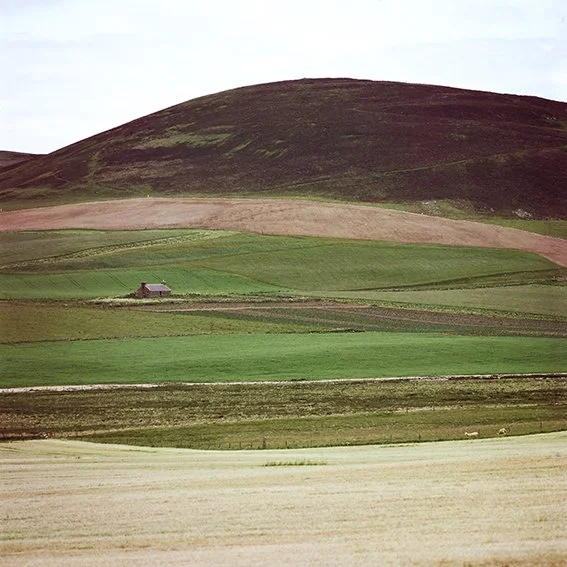 Hillside landscape with layered green fields and a small house.