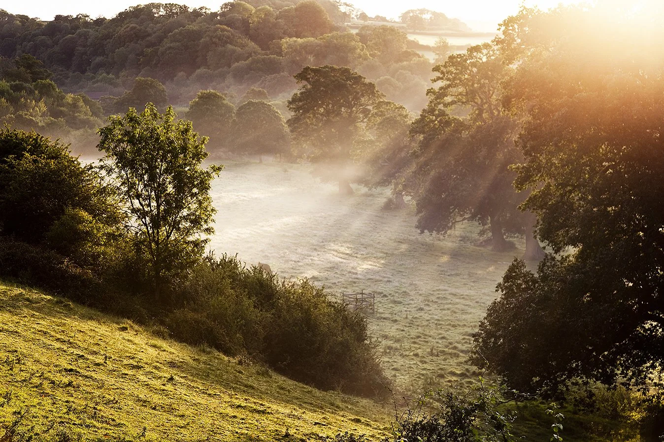 Morning at Dartington Hall, Devon.