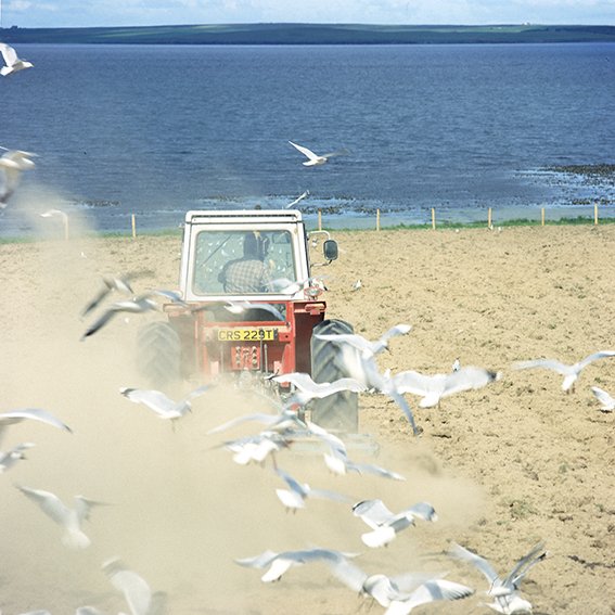 Ploughing, Orkney.