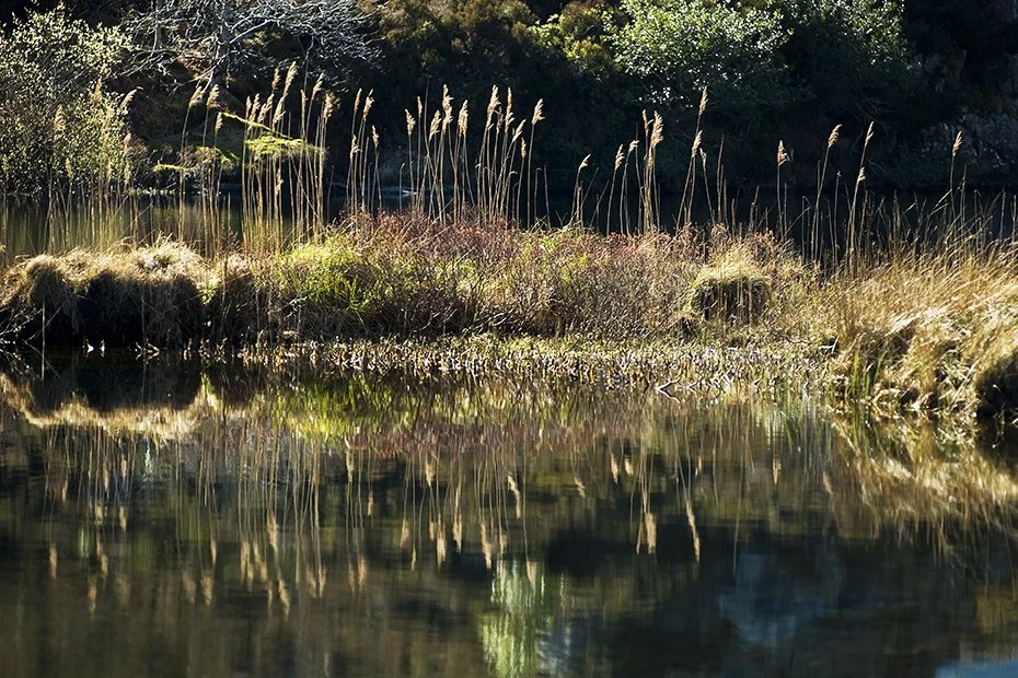 River Dart.