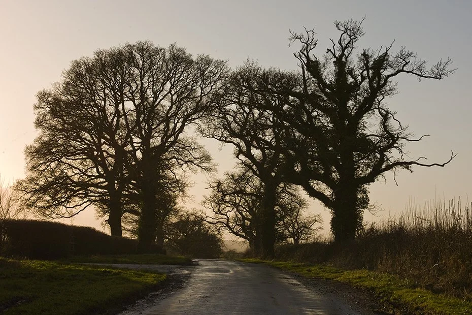 Devon, sunset.