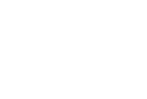 Steamroller-studios-partners_NetherRealm.png