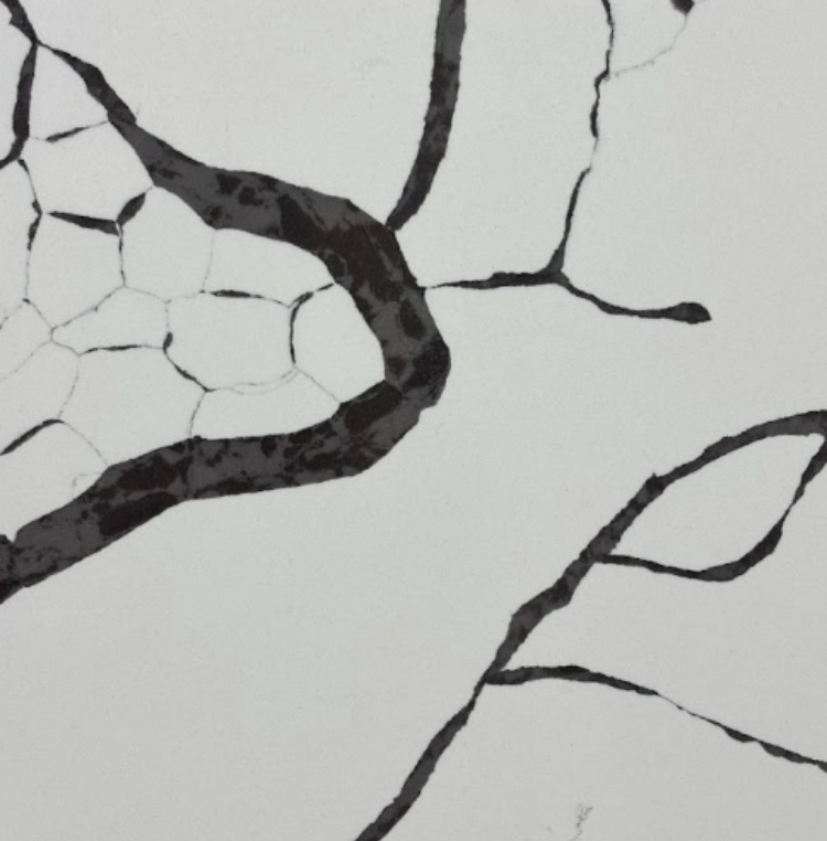 Dark Vein