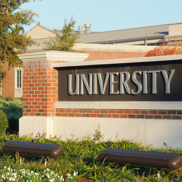 Untitled design (93).png