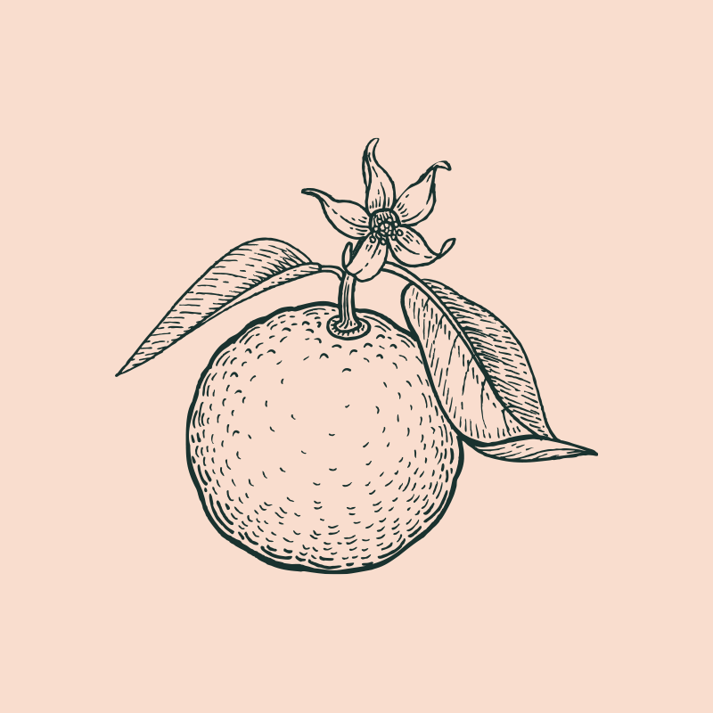 Burnt Orange - 2026 logo.png