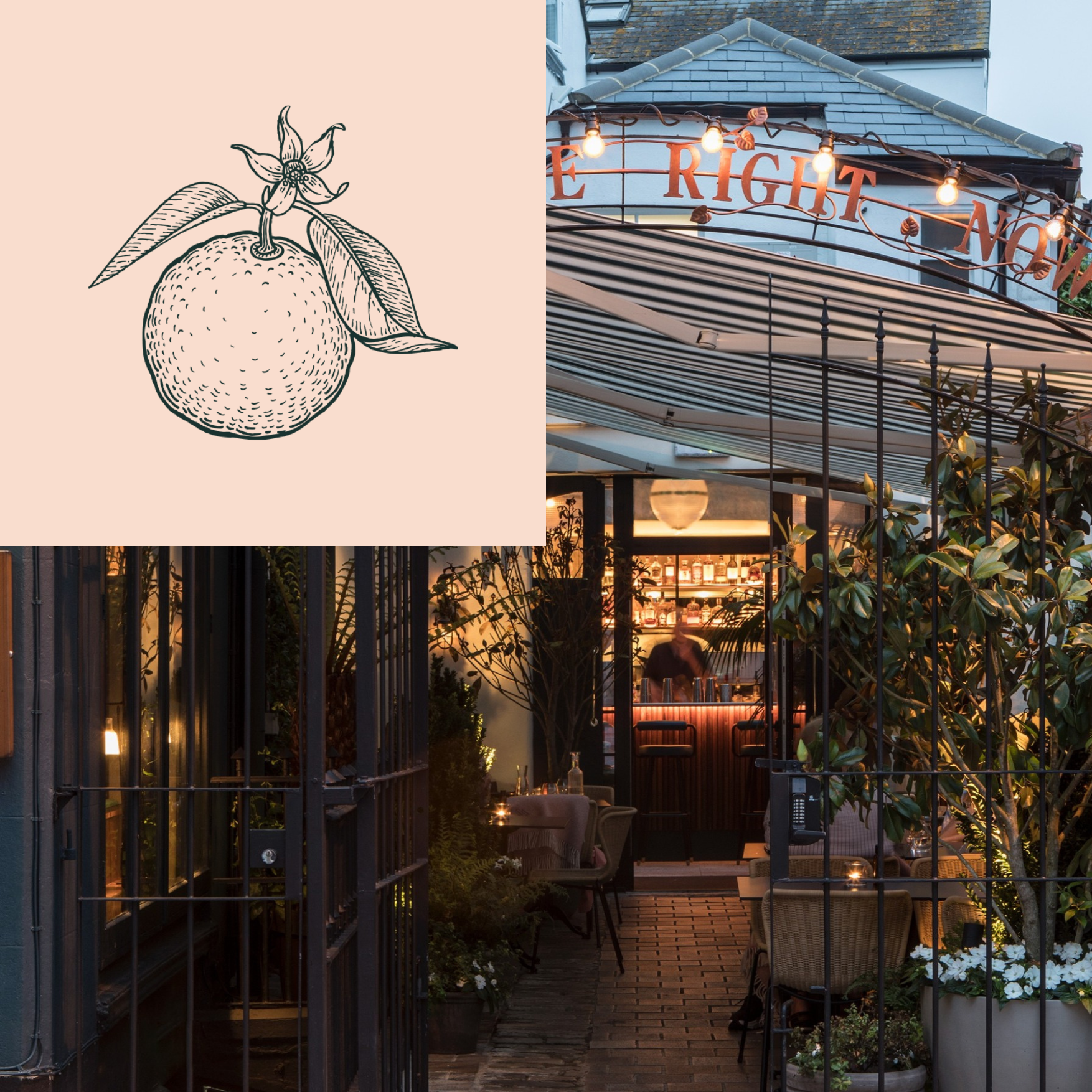 Burnt Orange- Homepage carousel.png