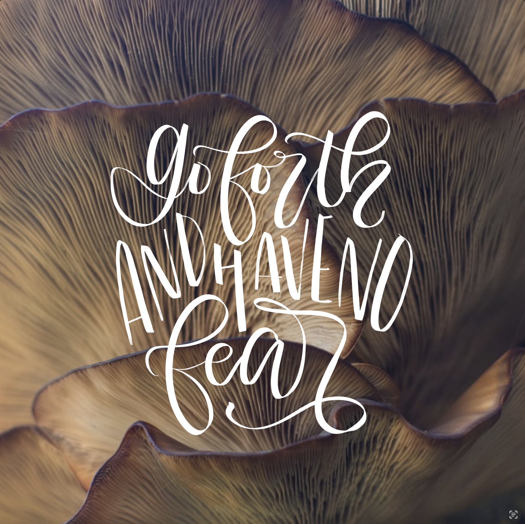 Screenshot 2025-04-10 at 7.18.09 PM.png