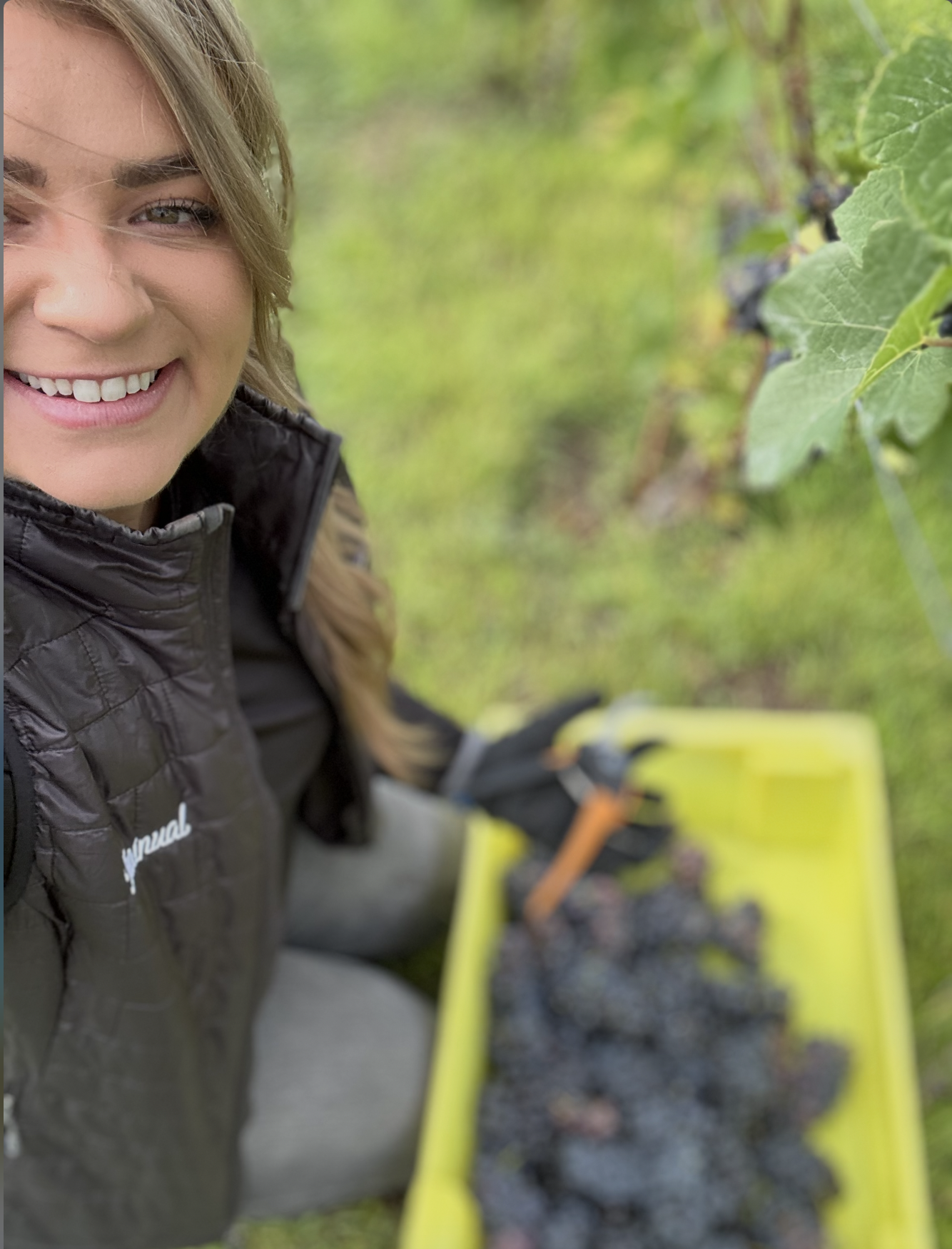 Screenshot 2025-04-11 at 9.42.05 AM.png