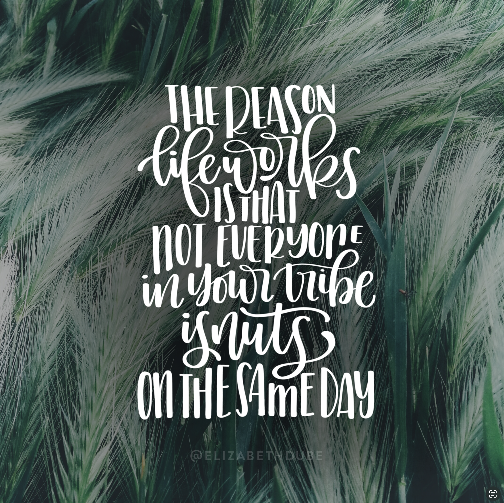 Screenshot 2025-04-10 at 7.17.35 PM.png