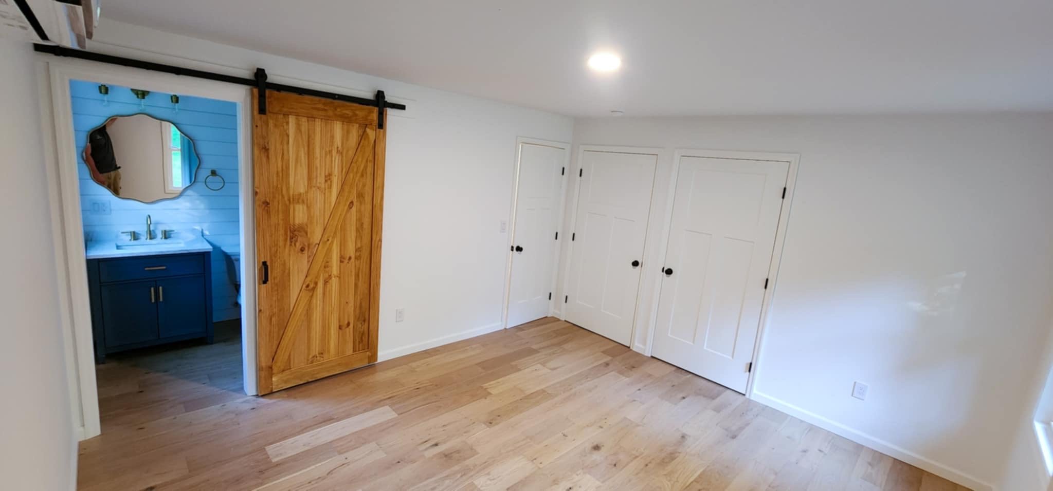 Interior Paint, Doors, Floors, Barn Door