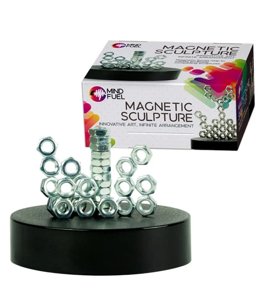 Magnetic Sculpture.jpeg