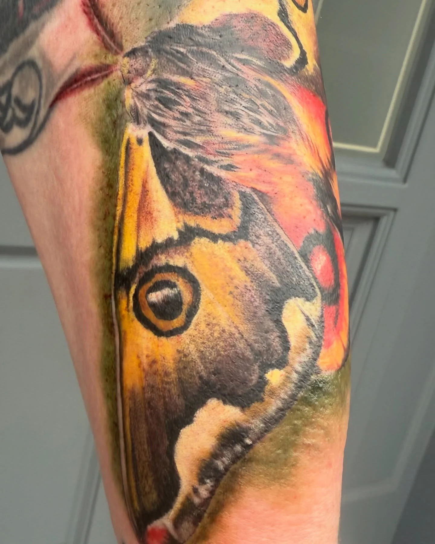 Start of a nature based sleeve for Heather. Existing tattoos not done by moi. #tattoo #colourtattoo #tattooartist #artwork #moth #ely #cambridge #almostangelstattoofamily