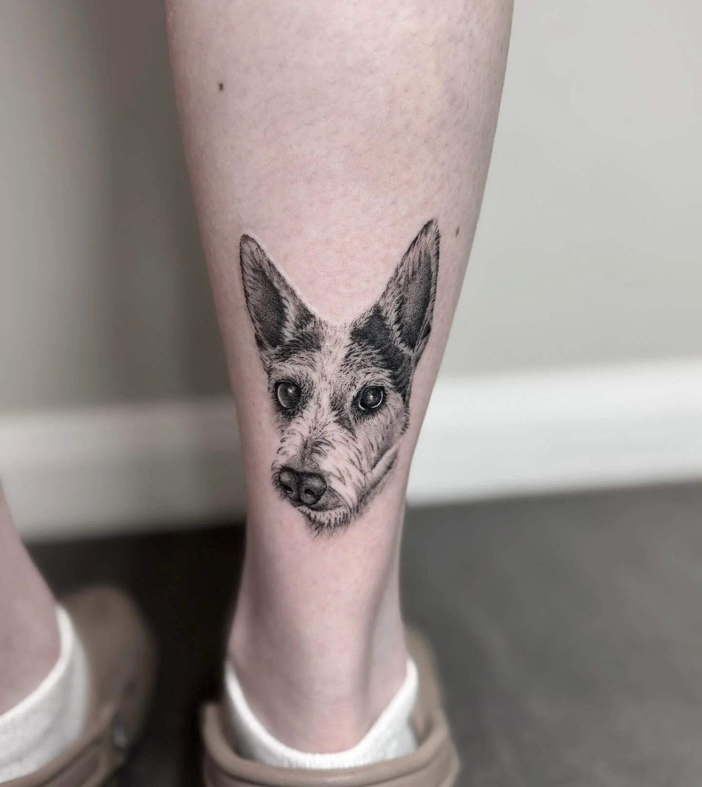 How gorgeous is this little face. Such a beautiful portrait for a beloved pet ❤️ 
You know their my favourite to do 😍 
For bookings email: tiegan@almostangels.co.uk 
#betheinkspiration #aatattoofamily #almostangelstattoofamily #almostangelstattoos