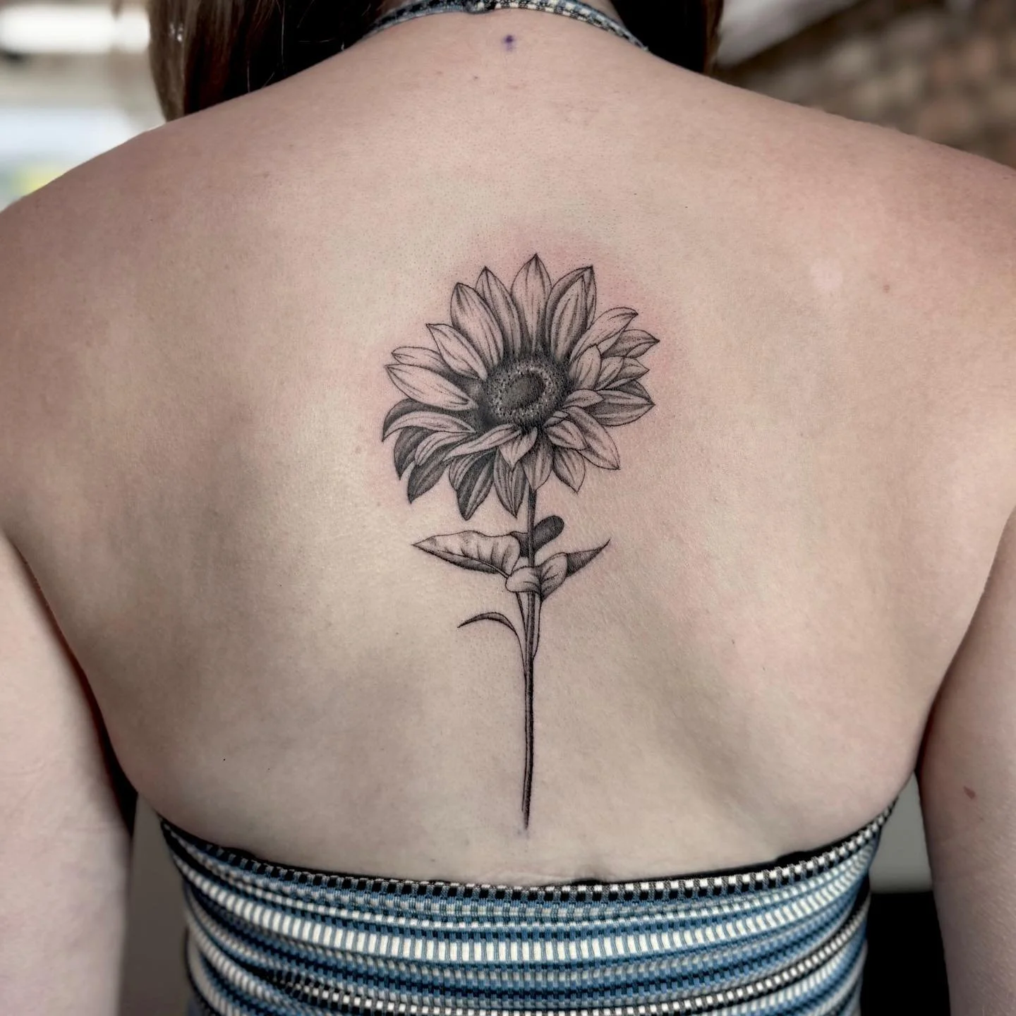Gorgeous sunflower done last week 🌻 
Love a back tattoo 😍 
For yours email tiegan@almostangels.co.uk 
#betheinkspiration #aatattoofamily #almostangelstattoofamily #almostangelstattoostudio #ely #cambridgeshire #elytattoo #cambridgeshiretattoo #fe