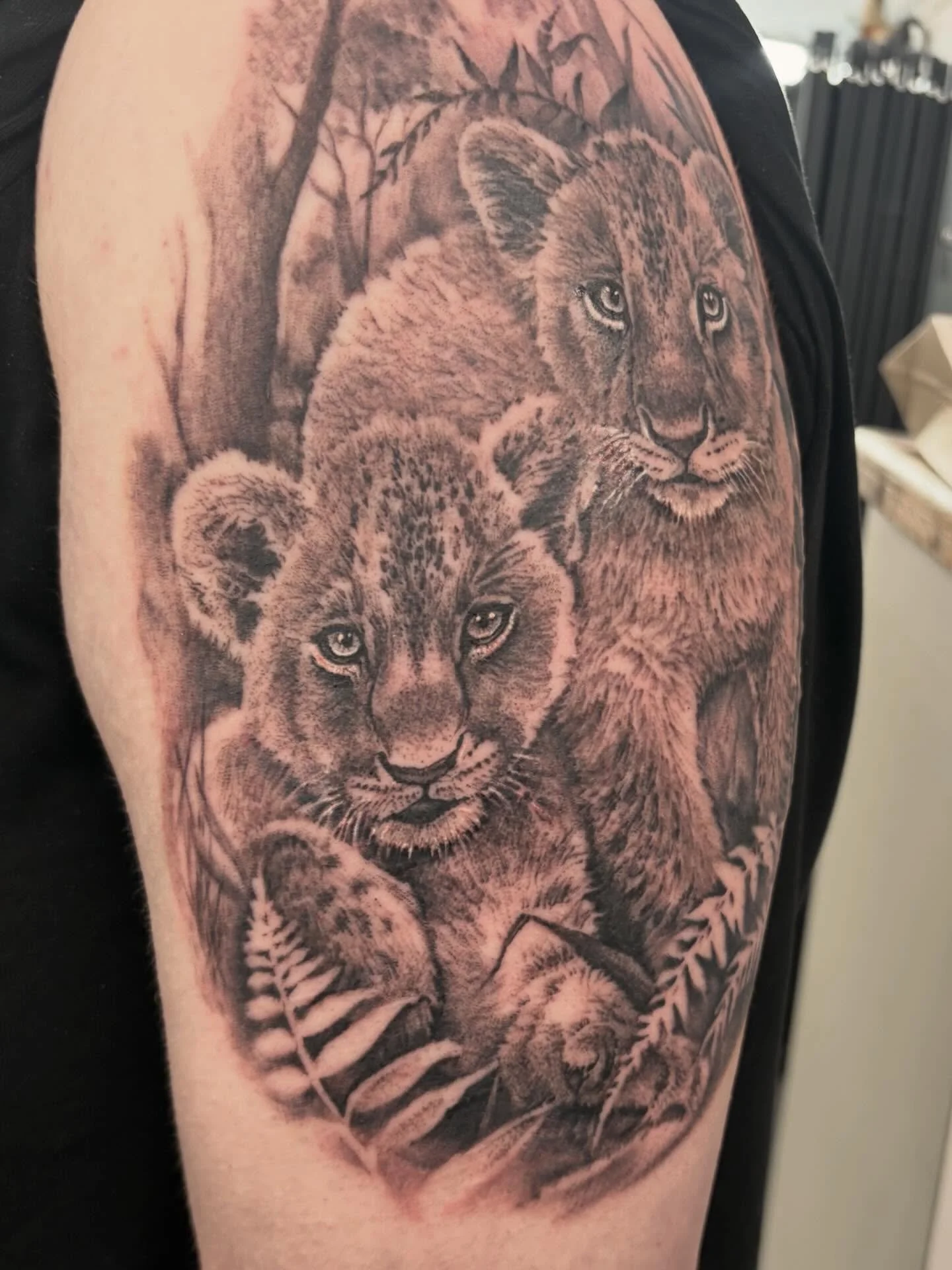 #lioncubs 🥰 🤗  Animals are one of my favourite subjects to work with and always welcome! Realistic preferred!✨ drop me an email for enquiries: laura@almostangels.co.uk and we can discuss your ideas! 😊