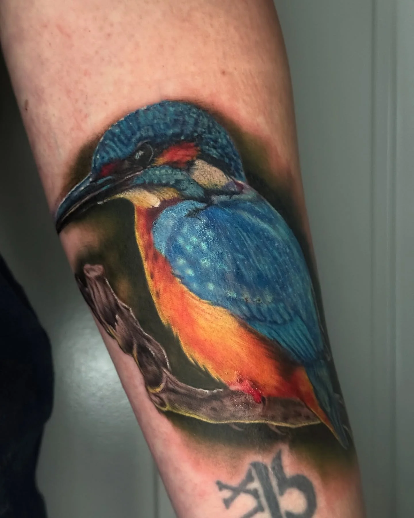 You have got to step out of your comfort zone once in a while&hellip;&hellip; loved doing this kingfisher. #tattoo #tattooartists #ely #cambs #kingfisher #bird #wildlifetattoo #wildlife