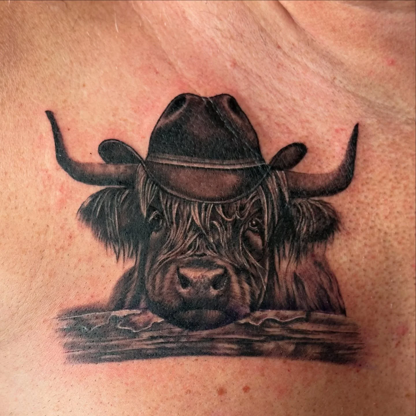 When a customer asks for a specific tattoo&hellip;.. really enjoyed this one. #highlandcattle #cowboyhat #westernghats #blackandgreytattoo #tattoo #ely #cambridge