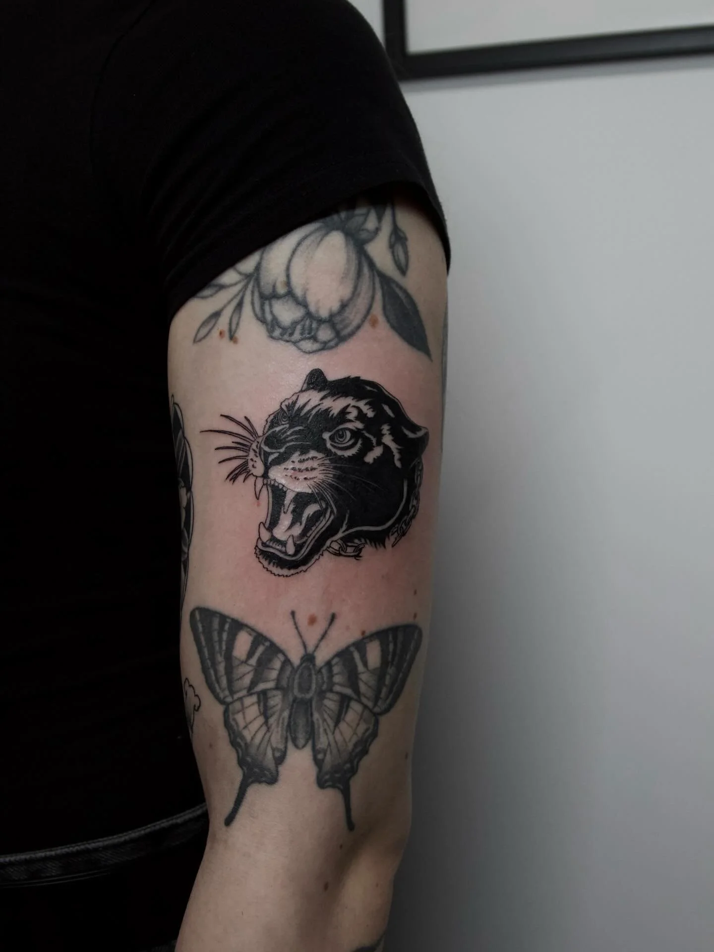 Loving this trad black panther from Louie🐆🖤

📌 @loudogtattoo 
📧 For bookings, email Louie: louie@almostangels.co.uk