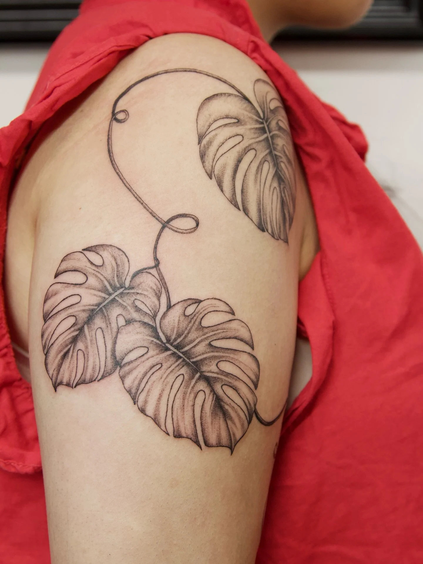 How beautiful is this monstera piece from Tiegan?!🌿

📌 @tieganjade_tattoo 
📧For bookings &amp; enquiries, email tiegan@almostangels.co.uk