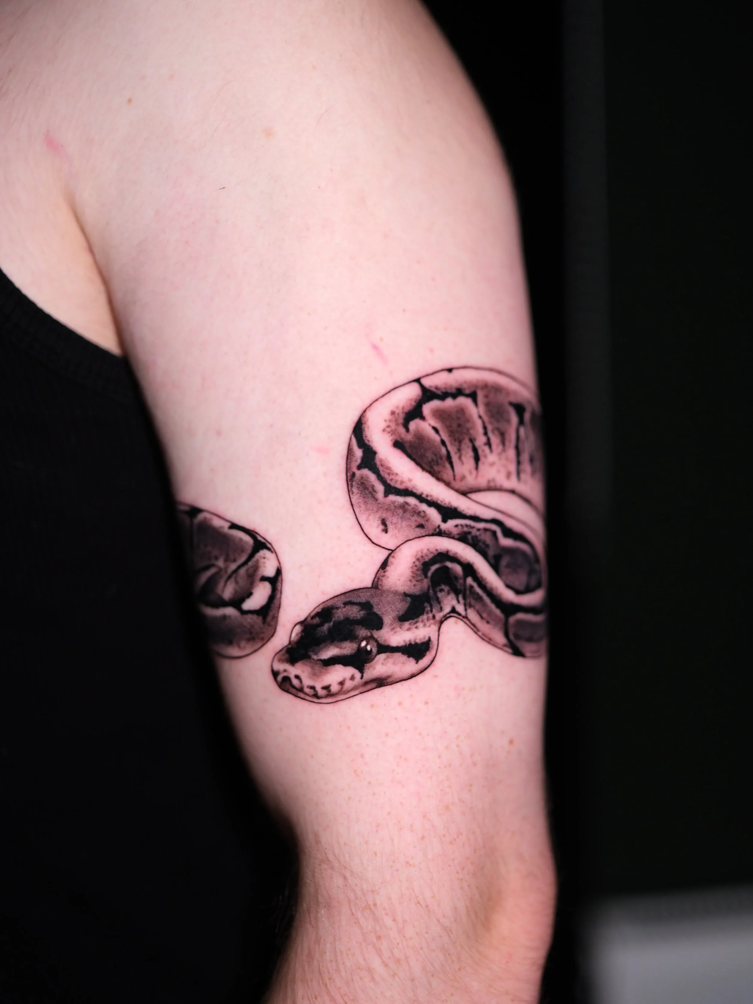 A complete wrap around ball python 🐍 

@aatattoofamily 

@kwadron 
@magicmoon_tattoo_supply 
@dynamictattoosupply 
@bishoprotary 
@tattooproton 
@protonstencillatam 
@hornetarttattoosupply 

#tattooartist #blackngreytattoo #blackngrey #illustrativet