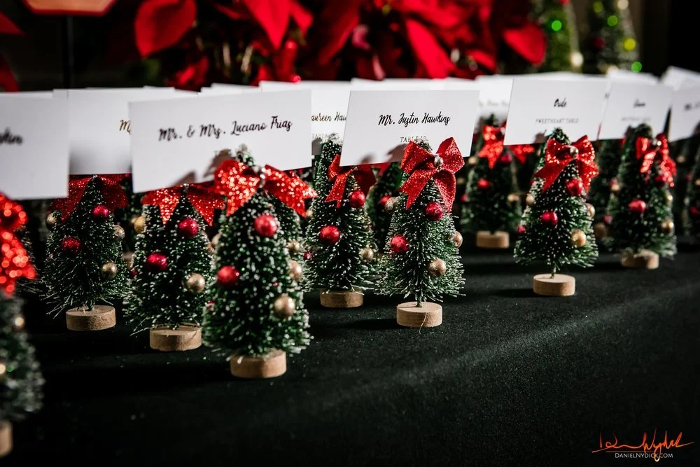Palace Somerset Park Christmas Wedding