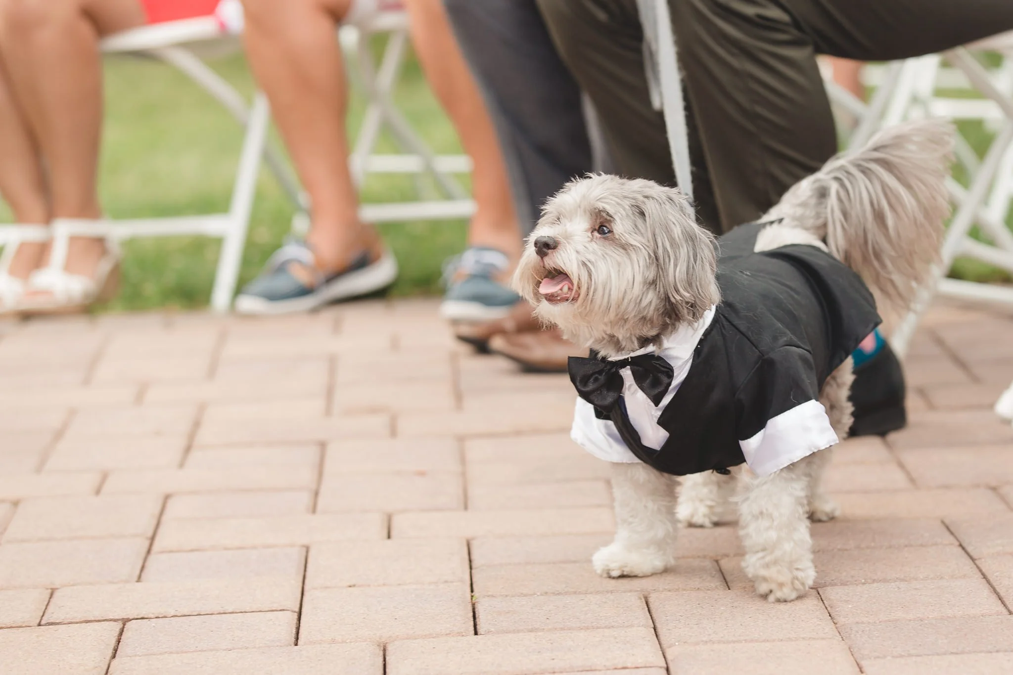Lisa Preston NJ Backyard Wedding July 1 2017 (24 of 281).jpg