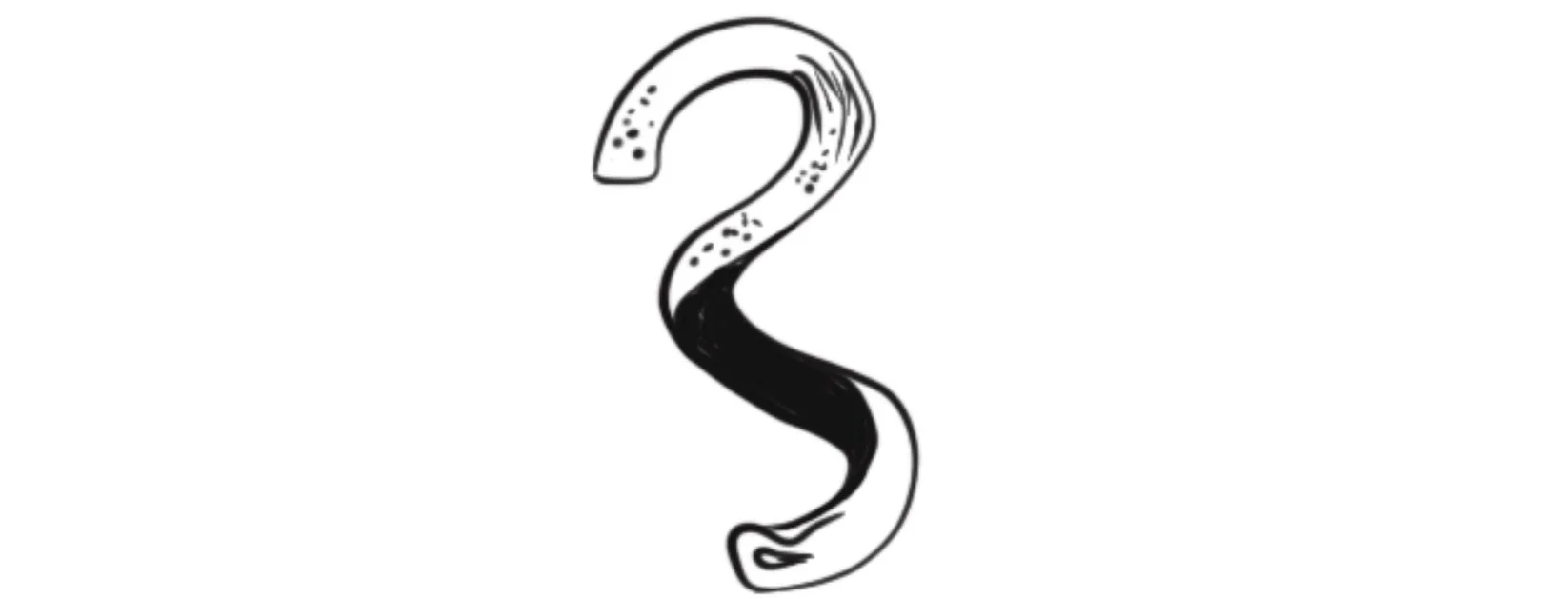 Illustration monochrome d'un asticot ou ver blanc et noir.