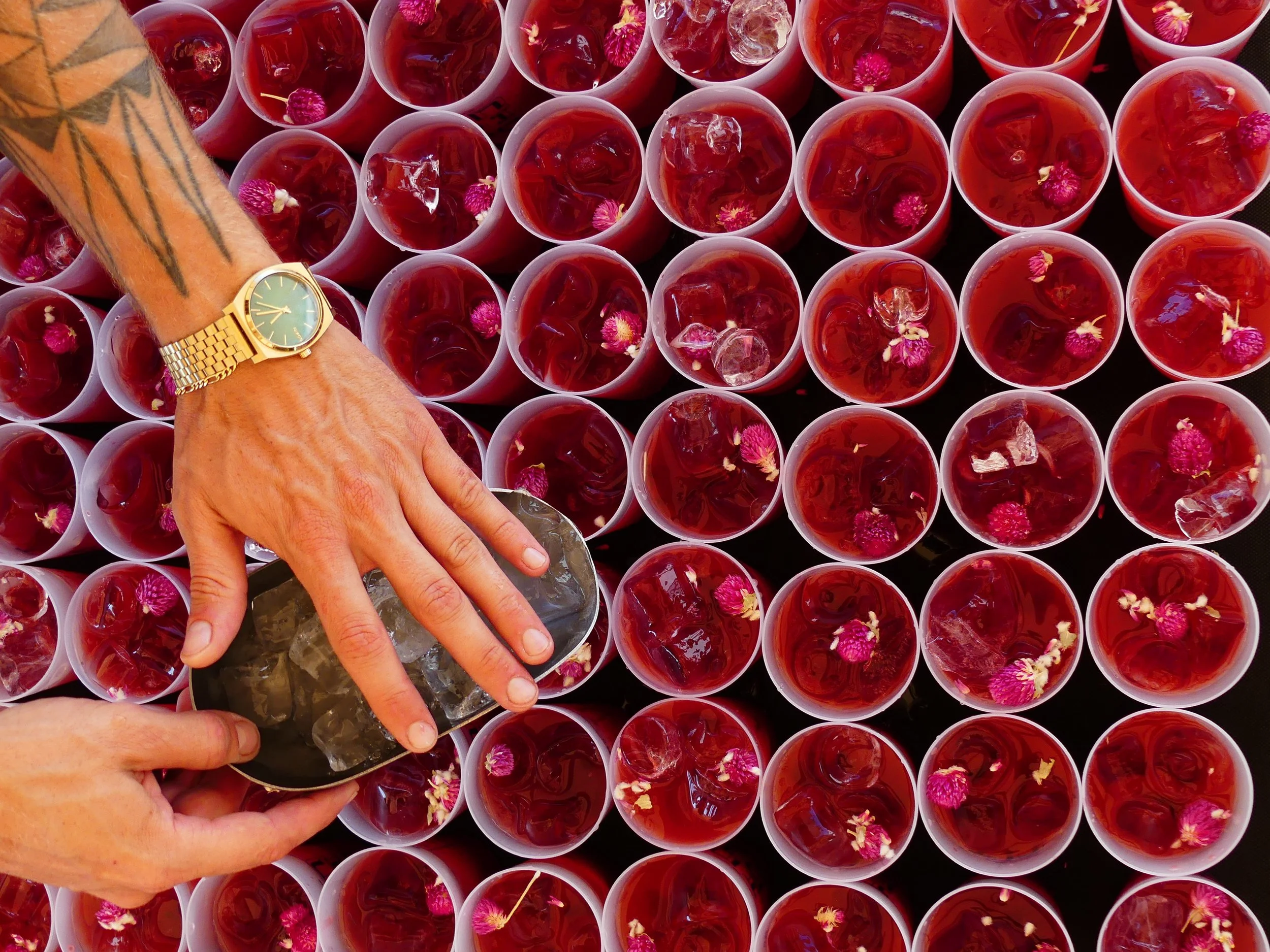 Sunset Spirit 2025,  service cocktails