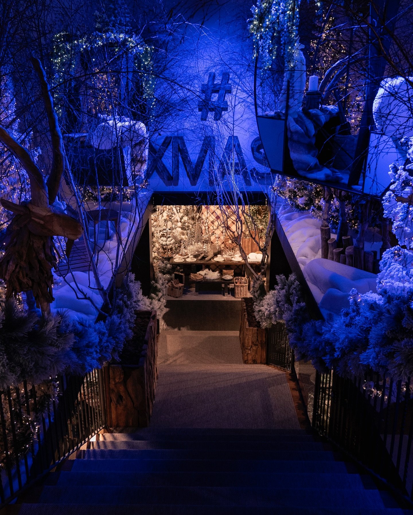 𝘋𝘳𝘦𝘢𝘮𝘪𝘯𝘨 𝘰𝘧 𝘊𝘩𝘳𝘪𝘴𝘵𝘮𝘢𝘴
&bull;
&bull;
&bull;
#lineaverdebergamo #lineaverde #bergamo #christmas #natale #natale #christmasdecor #decorazioninatalizie #christmastree #alberodinatale #negozionatale #christmasstore #colour #colourchrist