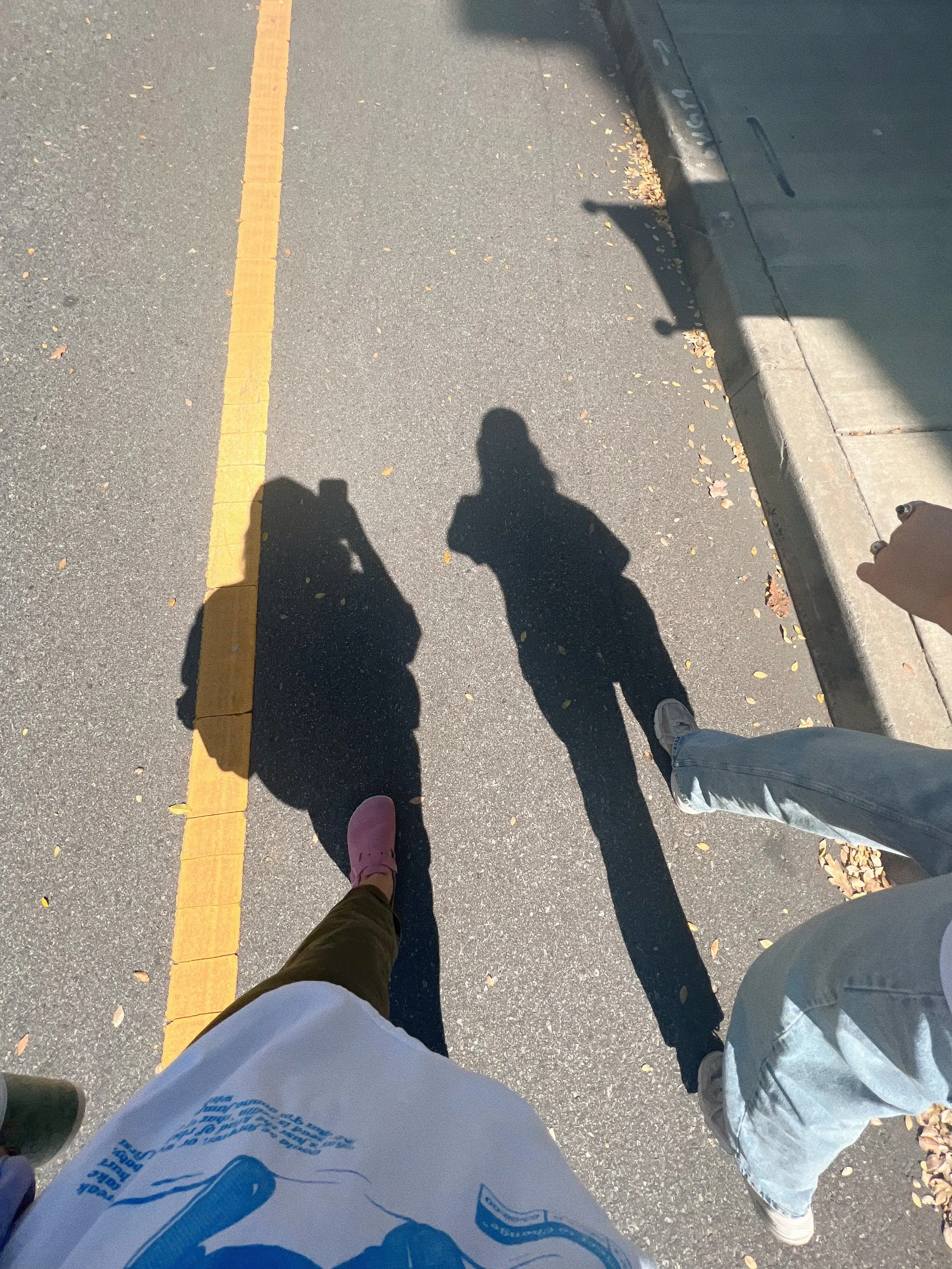Shadows of two people on a paved street with a yellow line, fallen leaves, and a curb, taken from a high angle.