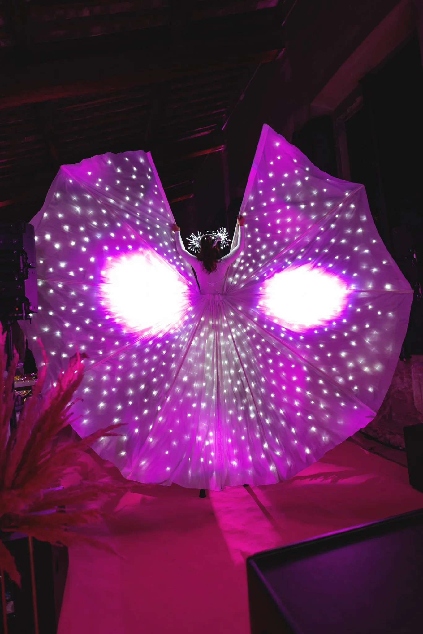 2023-06-13 ulisse albiati veepee 00053.jpg