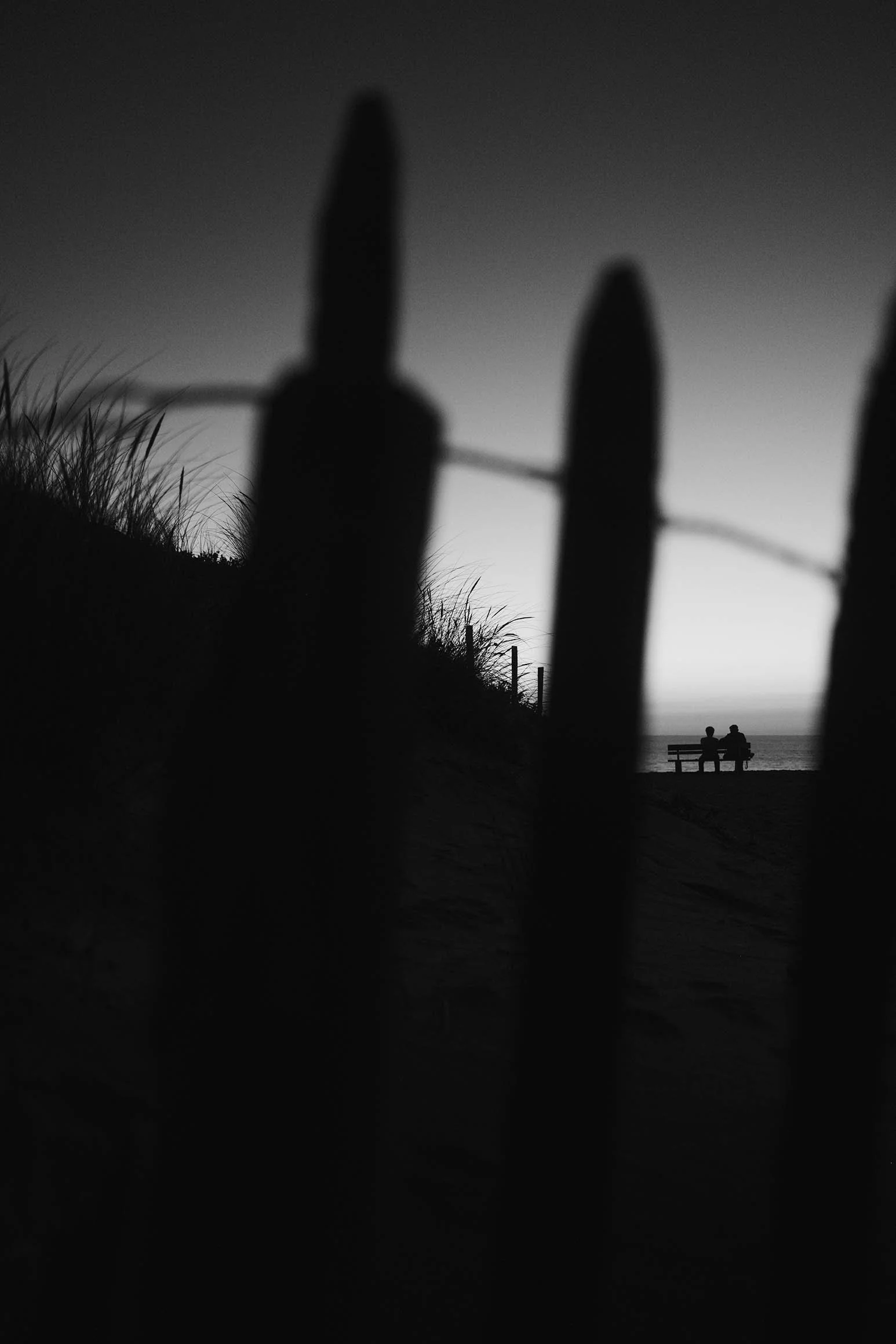DSCF6228.jpg