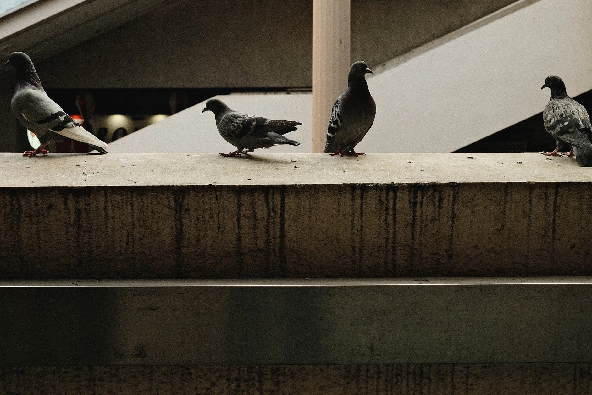 DSCF2660.jpg