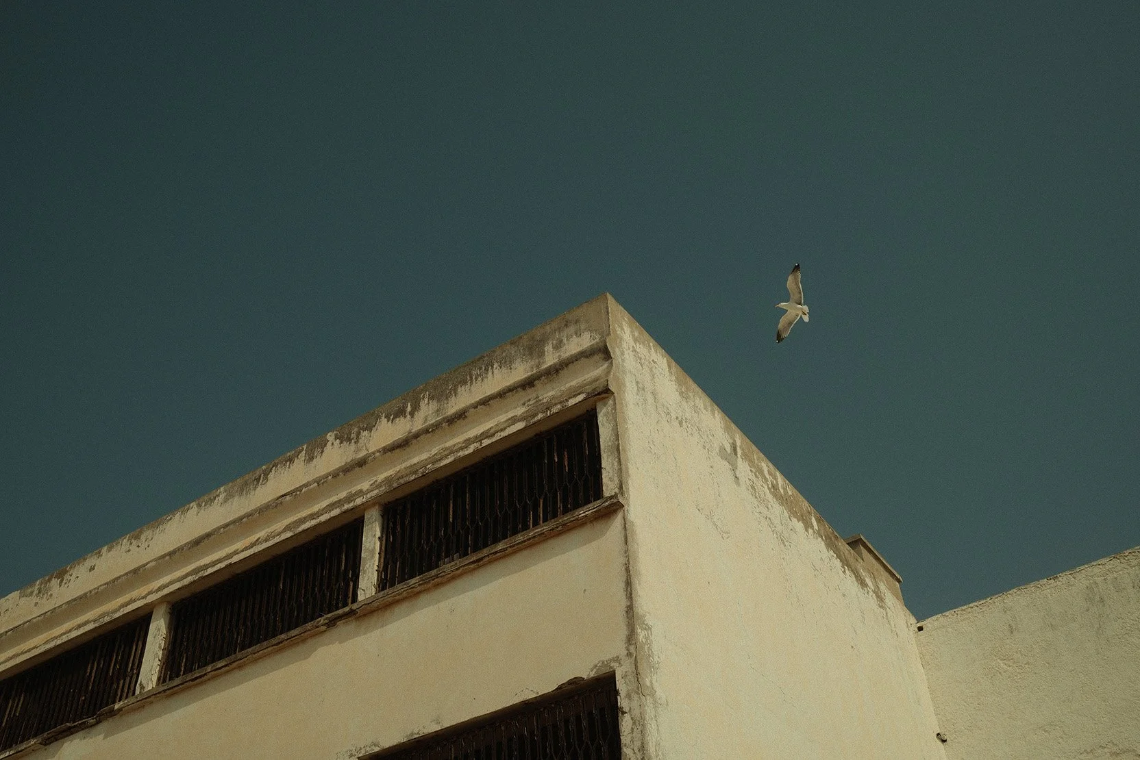 Un bâtiment beige avec des fenêtres barreaudées et un ciel clair. Un oiseau blanc vole dans le ciel au-dessus du bâtiment.