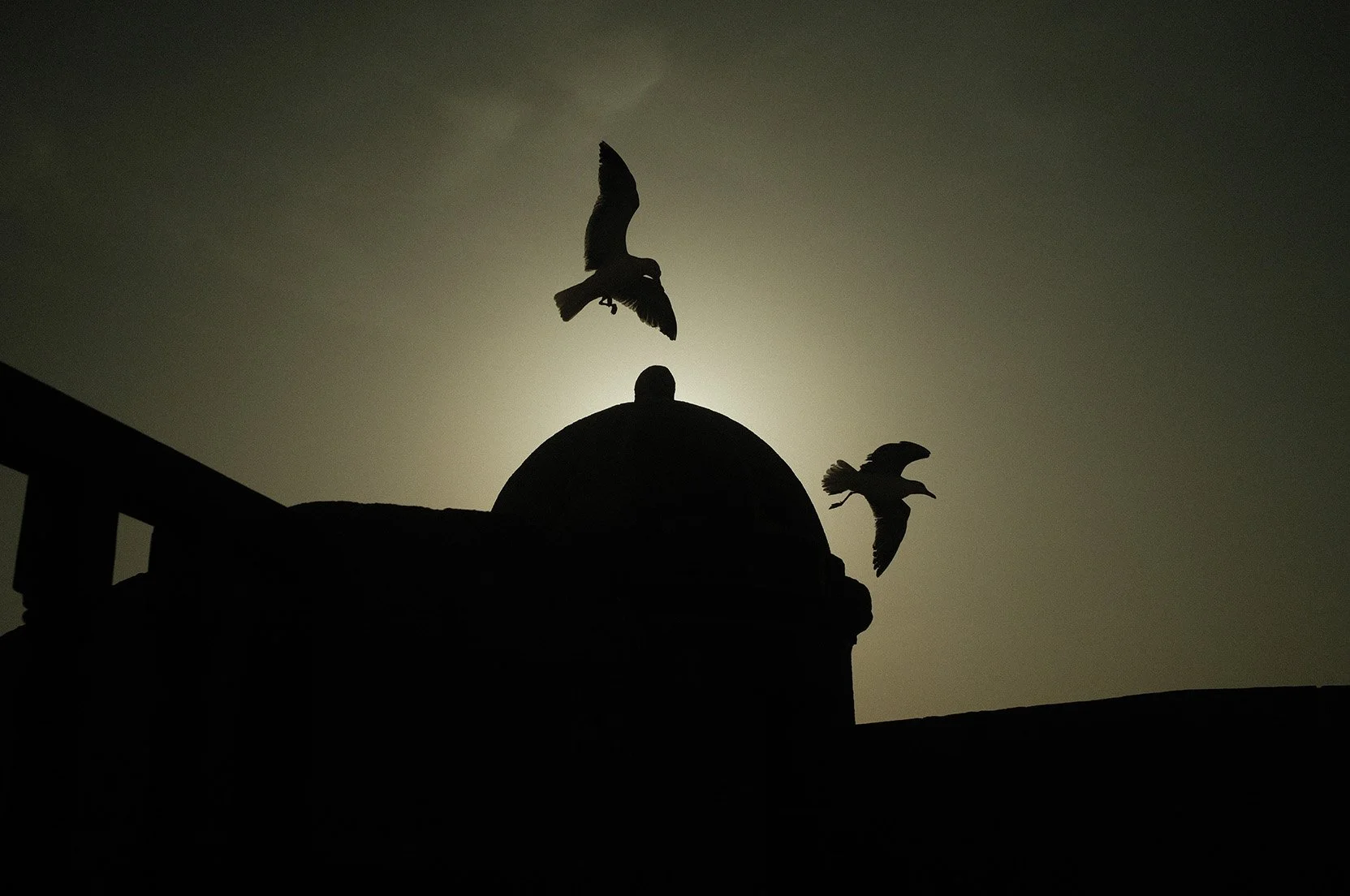 Silhouettes de trois oiseaux en vol au-dessus d'un bâtiment avec un ciel en arrière-plan lumineux.